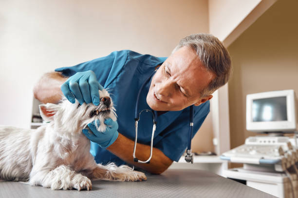 Best Emergency Dental Extractions in Dunmore, PA